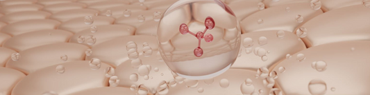 La scienza che nutre la pelle: le ricerche dietro PhytoHeal